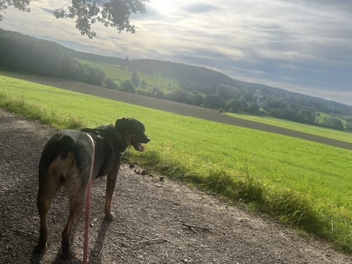 Durch das Muttental