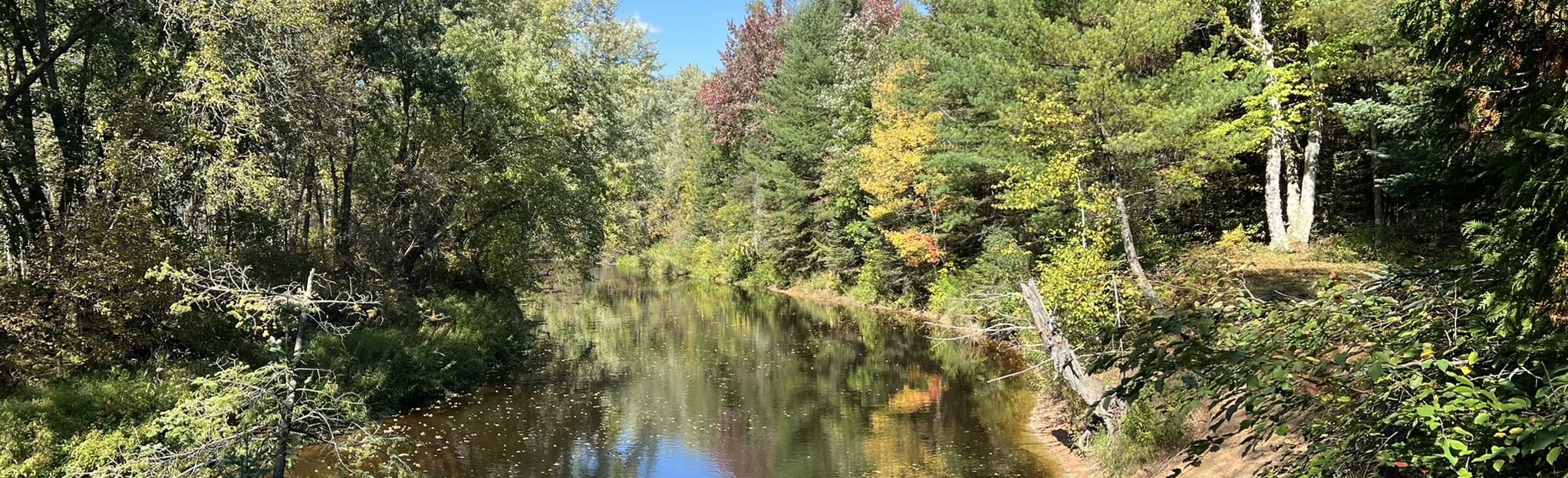 Cedar River Loop, Michigan - 12 Reviews, Map | AllTrails