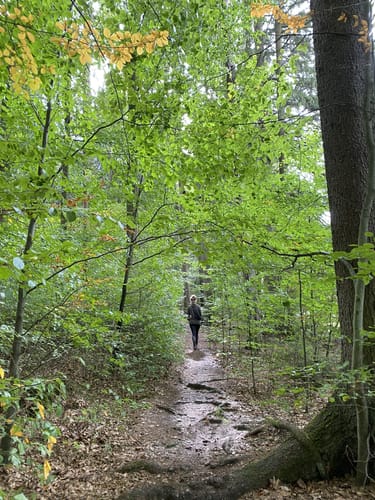 Betzenstein Rundweg