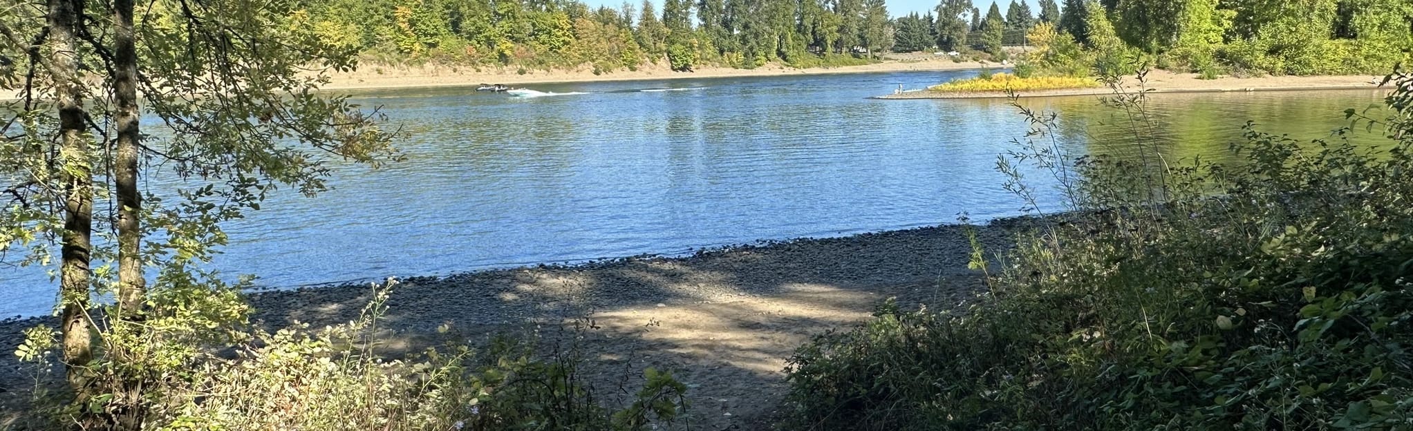 Burnside Park to Maddax Woods Trail, Oregon 115 Reviews, Map AllTrails