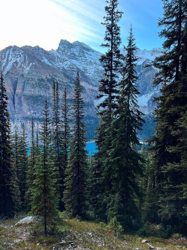 Sentinel Pass: 5.677 Fotos - Alberta, Canadá