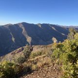 Grandeur Peak Trail (West Face), Utah - 1,641 Reviews, Map | AllTrails