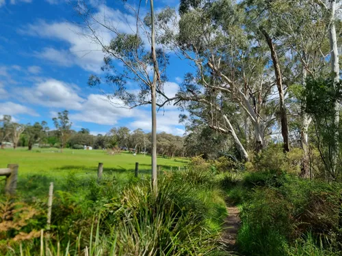 10 Best Hikes and Trails in Warrandyte State Park | AllTrails