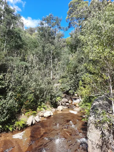 Melhores Caminhadas E Trilhas Em Mole Creek Karst National Park Alltrails 2560