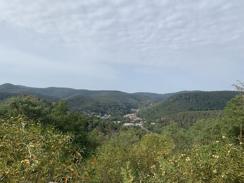 Wanderfit - Bad Dürkheim Panoramaweg des Drachenfels-Clubs