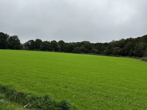 Rund um den Gysenberg