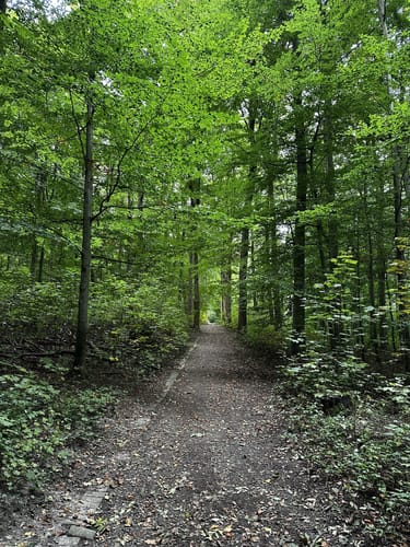 Rund um den Gysenberg