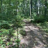 Bloodroot Trail, Indiana - 646 Reviews, Map | AllTrails