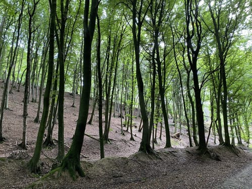 Holperdorper (Teutoschleife)