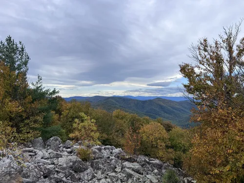 Blue Ridge, Appalachian Trail, Shenandoah, Wildlife