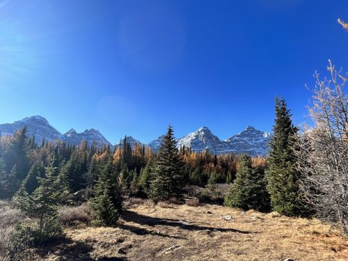 Sentinel Pass: 5.677 Fotos - Alberta, Canadá