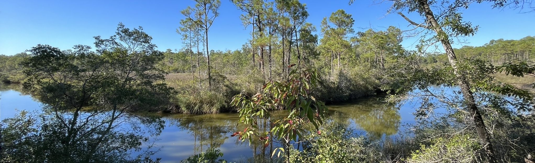 Fontainebleau Nature Trail, Mississippi - 340 Reviews, Map | AllTrails