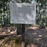 Nanny's Mountain Trail, South Carolina - 292 Reviews, Map | AllTrails