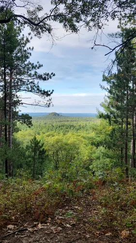 Best Hikes and Trails in Black River State Forest | AllTrails