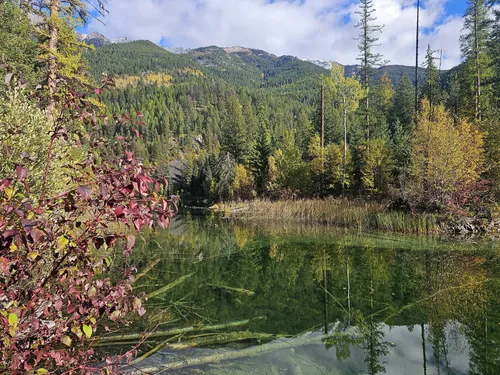 Best Forest Trails in Premier Lake Provincial Park | AllTrails