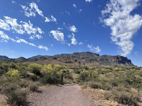 All trails 2025 superstition mountains