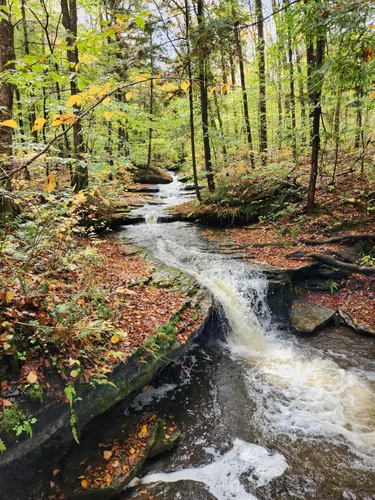 Best Hikes and Trails in Pixley Falls State Park | AllTrails