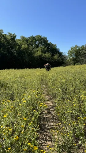 Best Hikes And Trails In Lyndon B. Johnson National Grassland | AllTrails