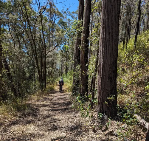 Best Backpacking Trails in Kulnura AllTrails