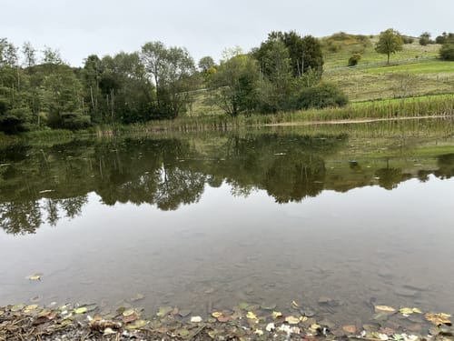 Kleine Waldrunde Marmagen 