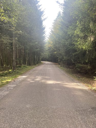 Balzer Herrgott-Runde