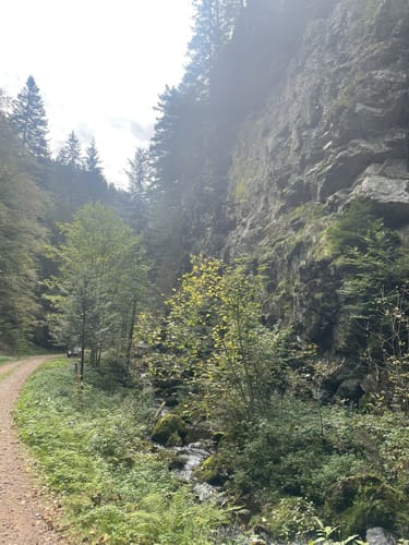 Balzer Herrgott-Runde