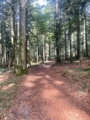 Balzer Herrgott-Runde