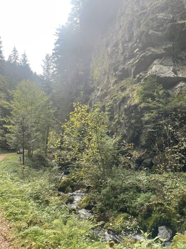Balzer Herrgott-Runde