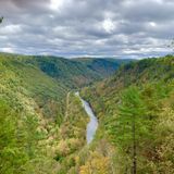 Colton Point Canyon Rim Trail, Pennsylvania - 296 Reviews, Map | AllTrails