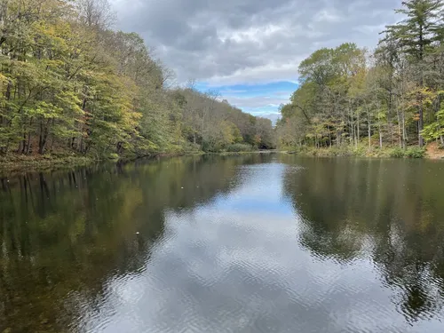 Best Hikes and Trails in Mount Hope Park AllTrails