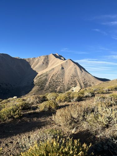 Boundary Peak Trail : 405 Photos - Nevada, Randonnée