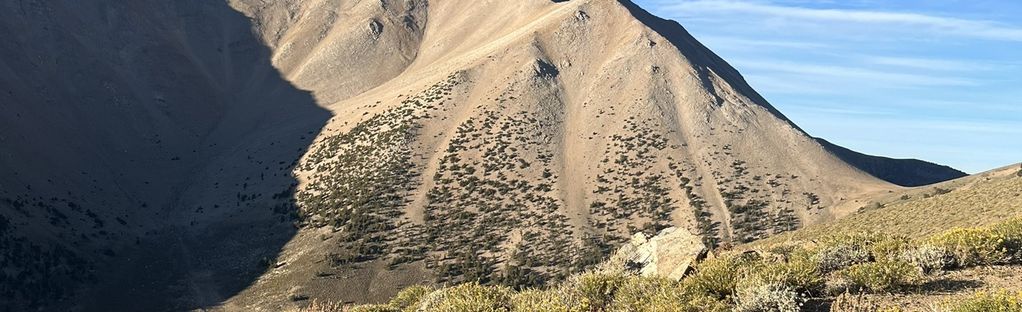 Boundary Peak Trail : 405 Photos - Nevada, Randonnée