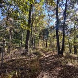 Scotts Gap Loop Trail, Kentucky - 913 Reviews, Map | AllTrails