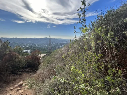 Top Places To Hike In LA With Someone You're Getting To Know