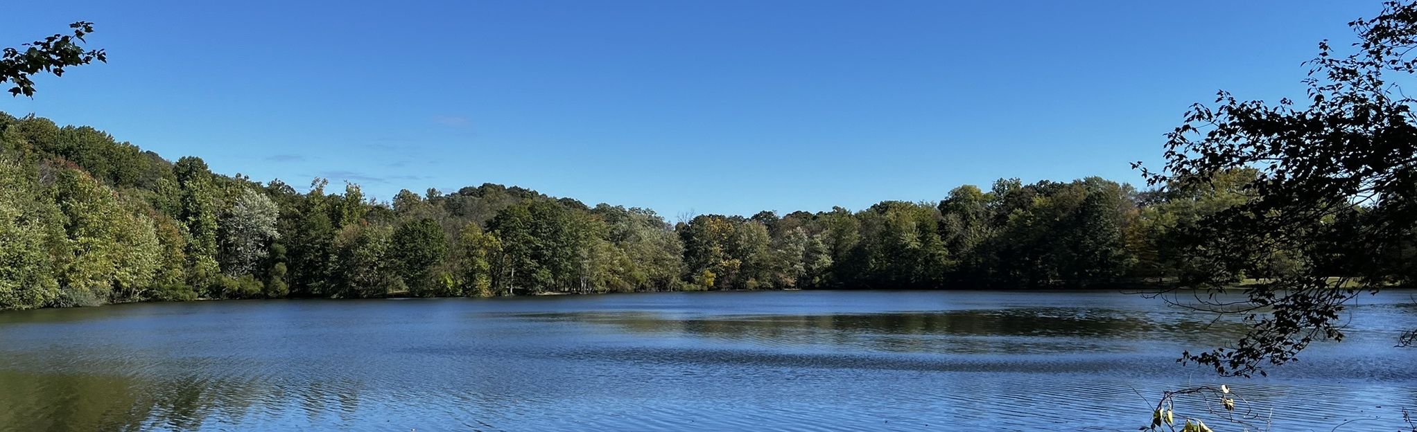 Ramapo Reservation Loop Trail, New Jersey - 1,587 Reviews, Map | AllTrails