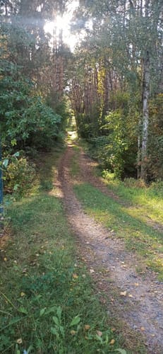 Wanderlehrpfad um den Wernsdorfer See