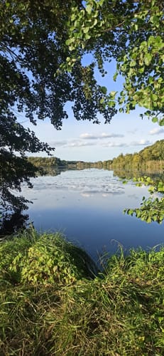 Wanderlehrpfad um den Wernsdorfer See