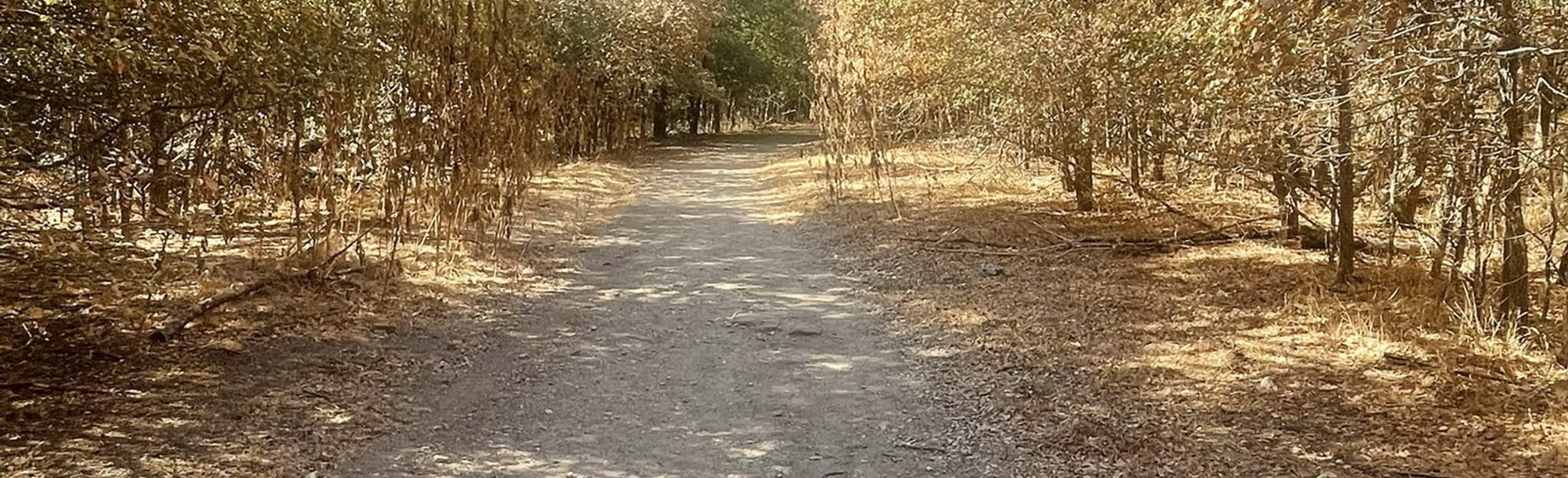 Onion Creek Greenbelt Trail, Texas 294 Reviews, Map AllTrails