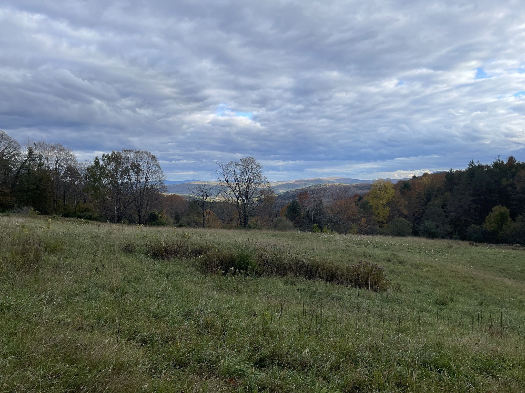 Photos of South Pomfret, Vermont trails | AllTrails