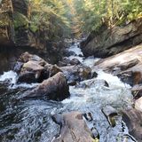 Auger Falls Loop, New York - 695 Reviews, Map | AllTrails