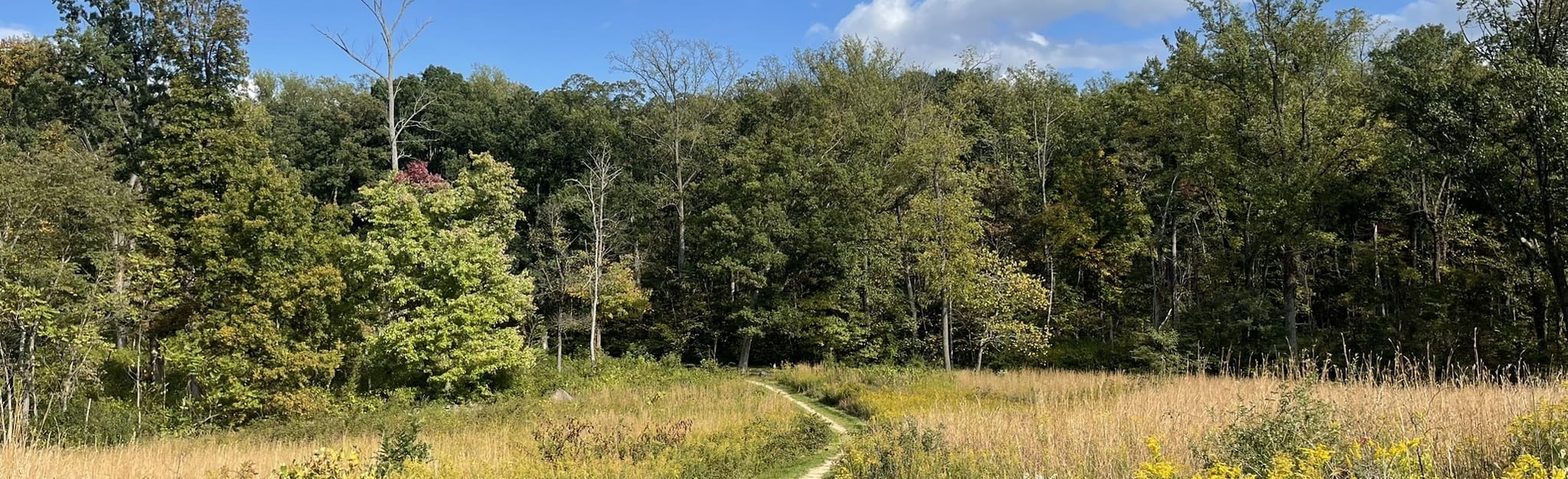 The Billy Yank Trail, Pennsylvania - 572 Reviews, Map | AllTrails