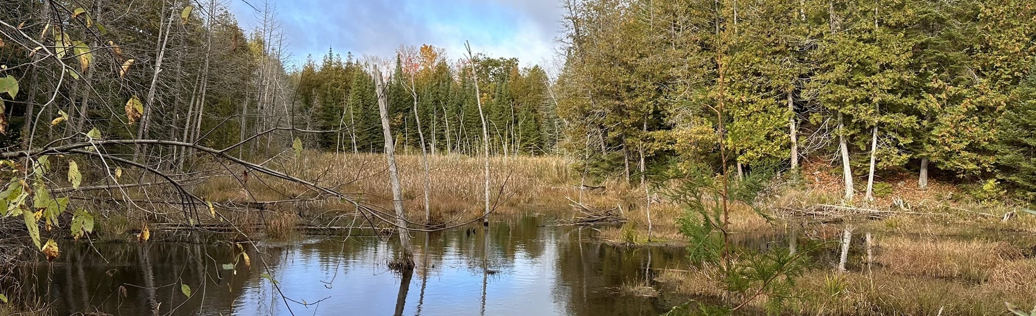 Hastings Heritage Trail Gilmour to Cleveland Road, Ontario, Canada