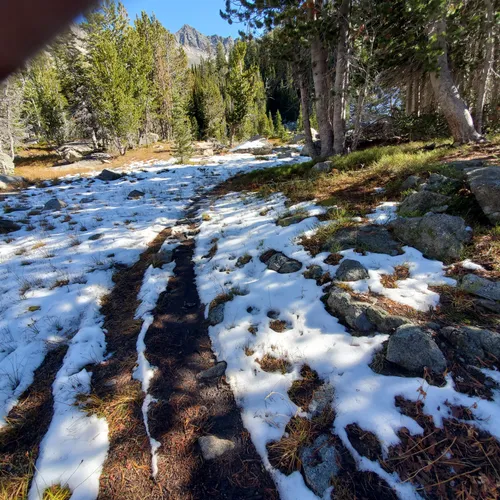 Best Camping Trails in Wilsall AllTrails