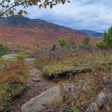 Owl's Head Trail, New York - 565 Reviews, Map | AllTrails