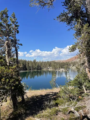 10 Best Hikes and Trails in Inyo National Forest | AllTrails