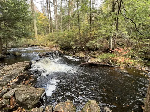 10 Best Hikes and Trails in Ricketts Glen State Park | AllTrails