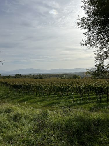 Geo-Pfad Eichstetten