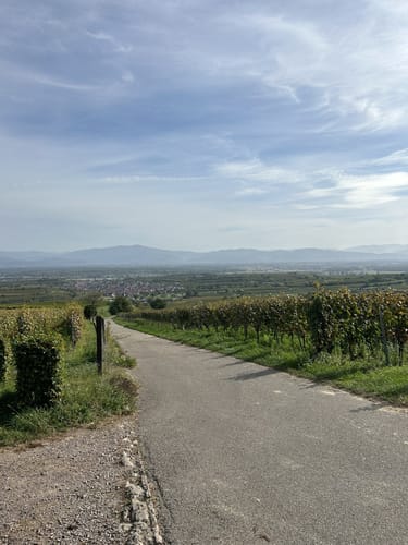 Geo-Pfad Eichstetten
