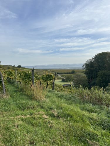 Geo-Pfad Eichstetten