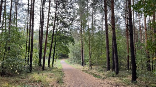 Moritzburg Park Runde